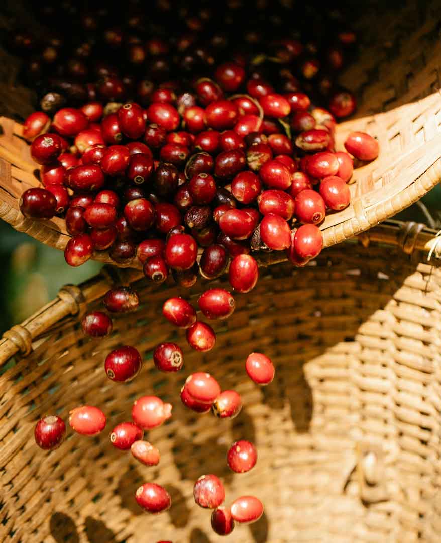 coffee-in-baskets